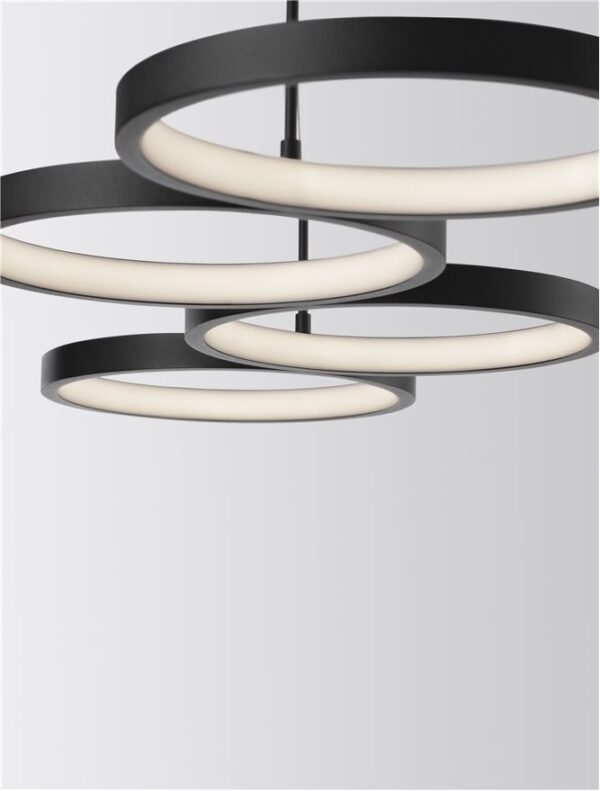 MAGNUS - 9248117 - Image 4