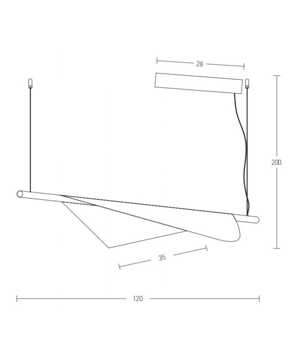 22229 - Image 2