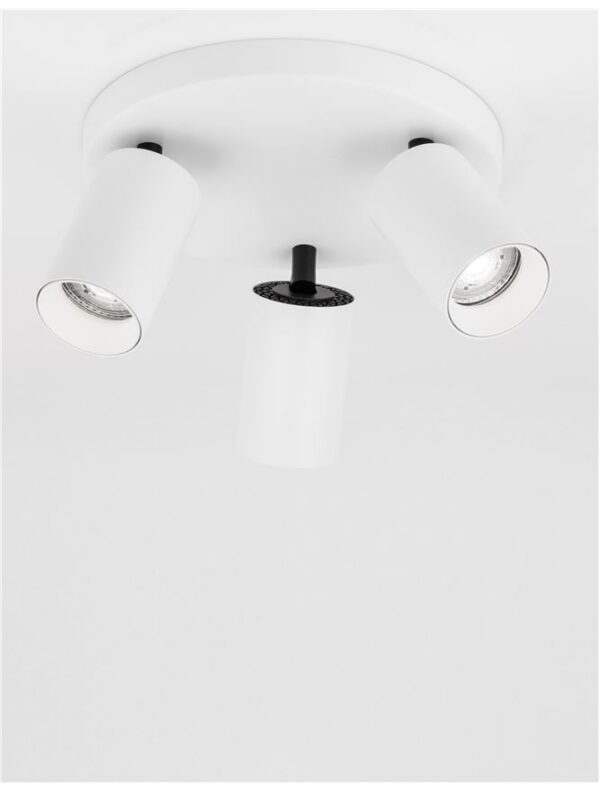 TOD - 9012281 - Image 6