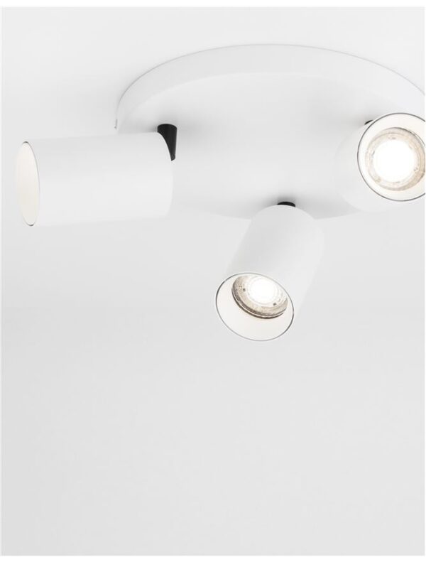 TOD - 9012281 - Image 5