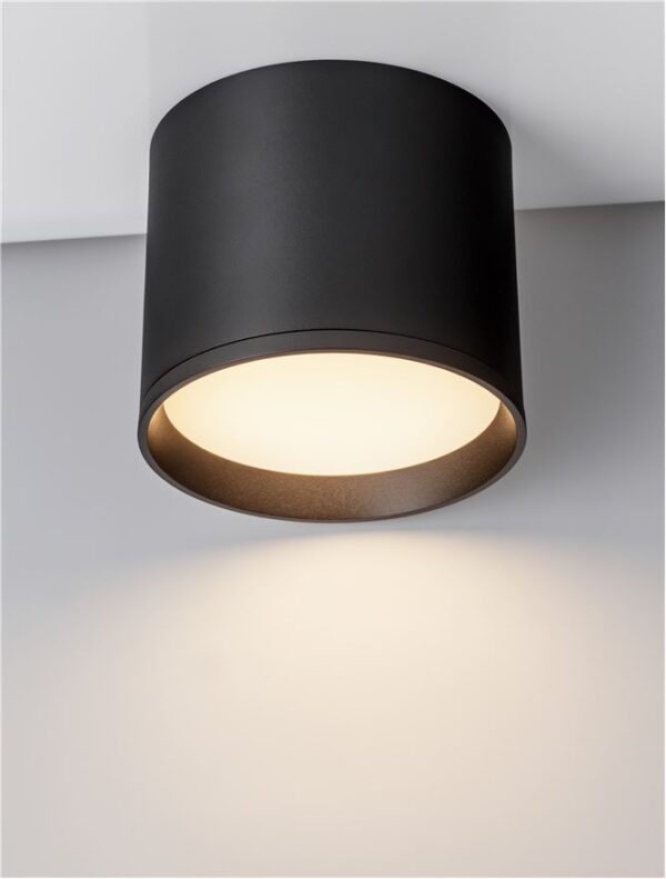ZIAZA - 9030730 - Image 4