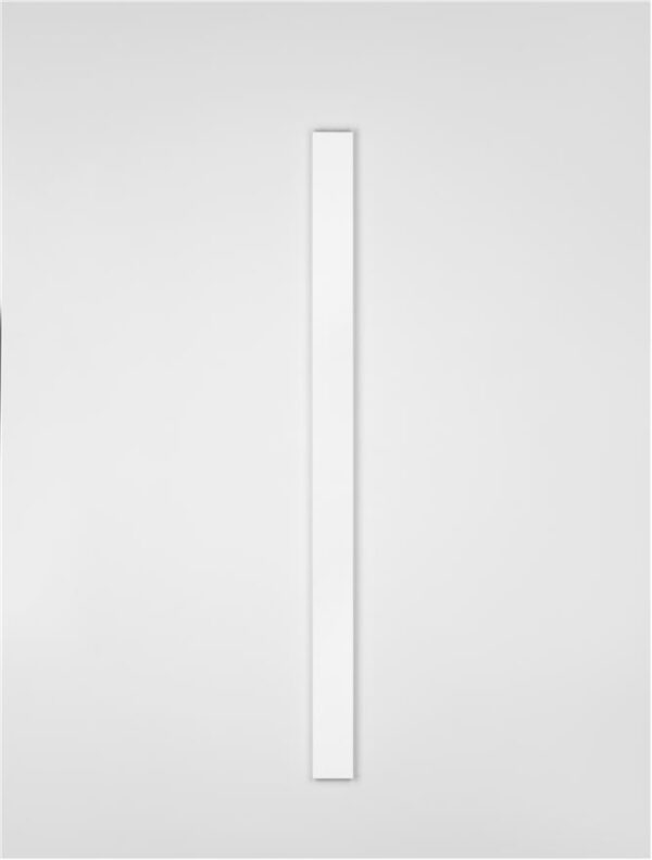 SELINE - 9081500 - Image 2