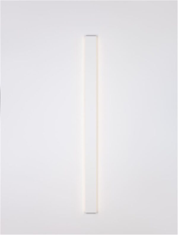 SELINE - 9081500 - Image 3