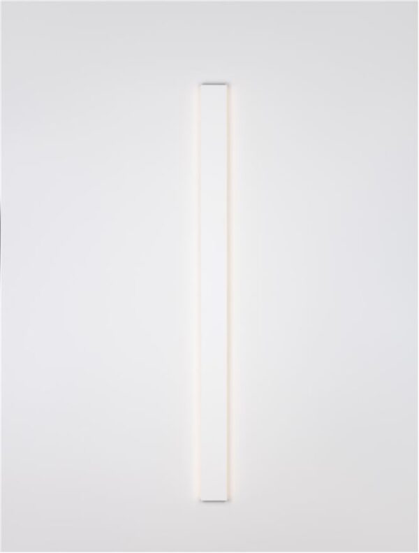 SELINE - 9081500 - Image 7