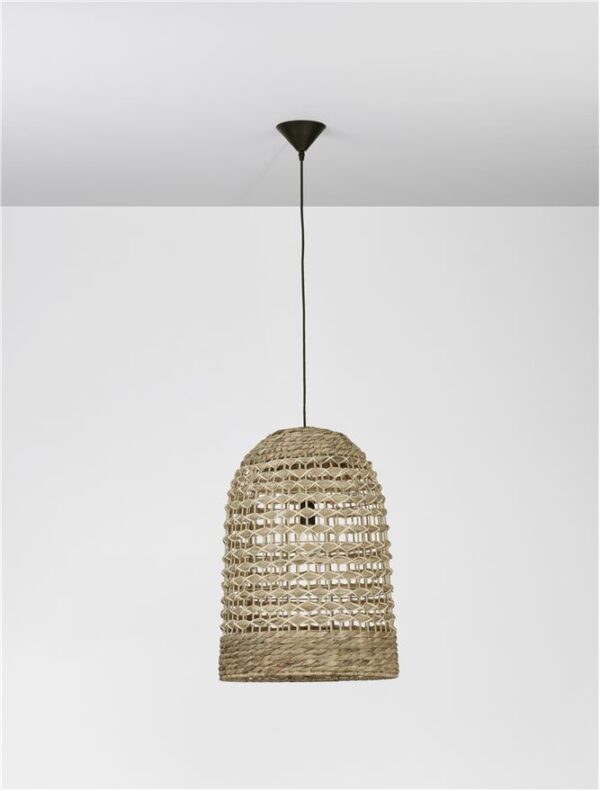 GRIFFIN - 9586506 - Image 2