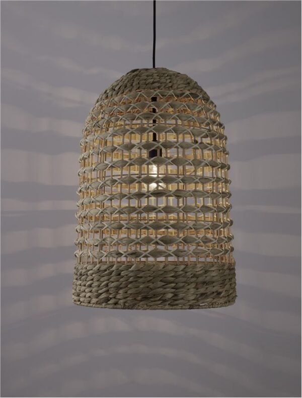 GRIFFIN - 9586506 - Image 6