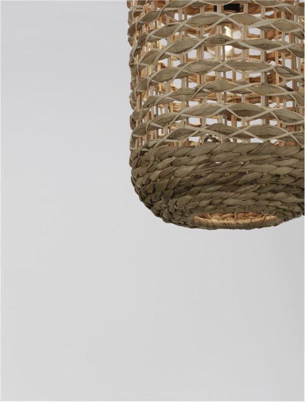 GRIFFIN - 9586507 - Image 5
