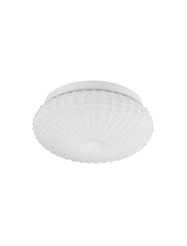 CLAM - 9738256