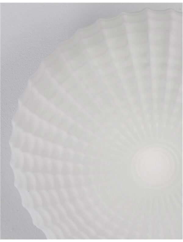 CLAM - 9738256 - Image 3