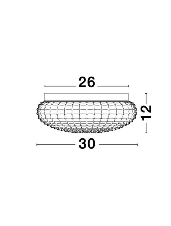 CLAM - 9738256 - Image 4