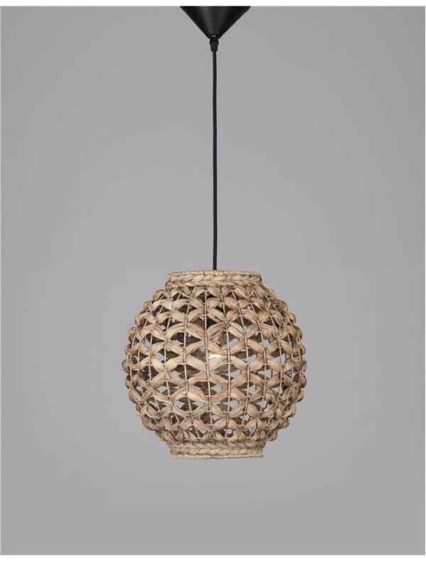 GRIFFIN-9858720 - Image 2