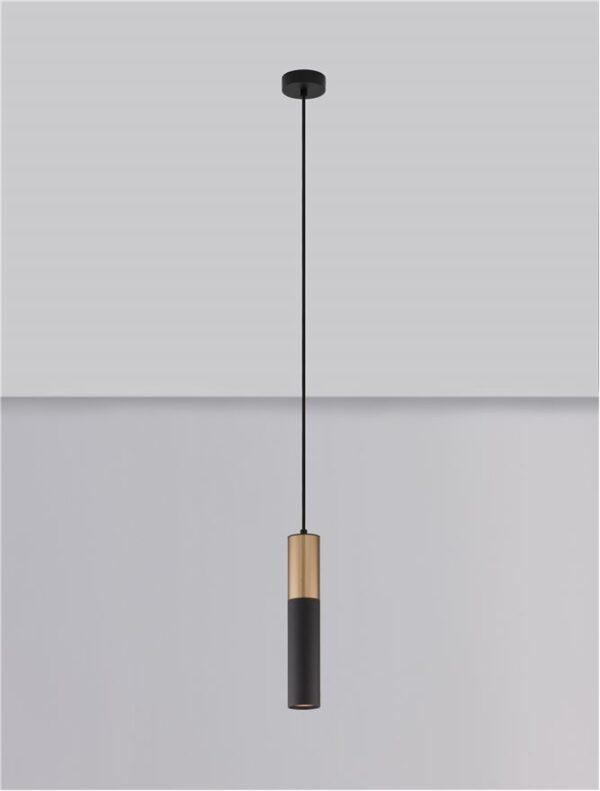 PONGO - 9911523 - Image 6