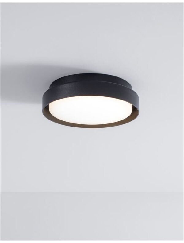 OLIVER - 9944603 - Image 5