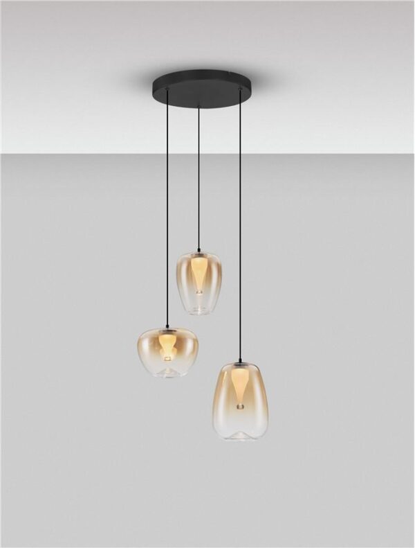 OBLO-9009177 - Image 4